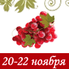 wine-fest.ru