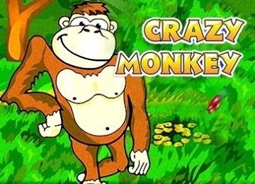 Игровые автоматы i crazy monkey симуляторы игровых автоматов для планшета